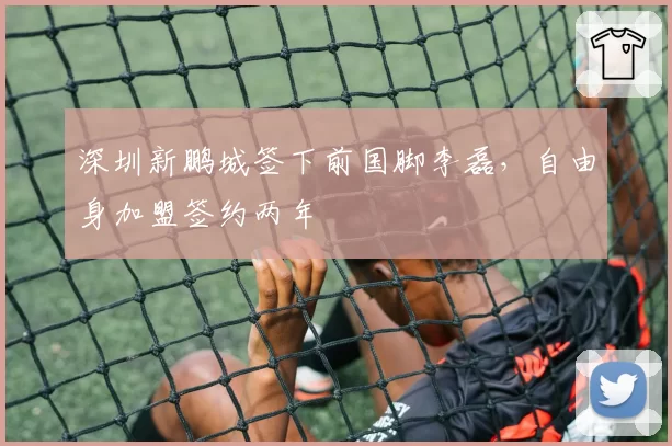 深圳新鹏城签下前国脚李磊,自由身加盟签约两年