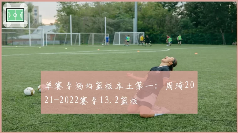 单赛季场均篮板本土第一：周琦2021-2022赛季13.2篮板